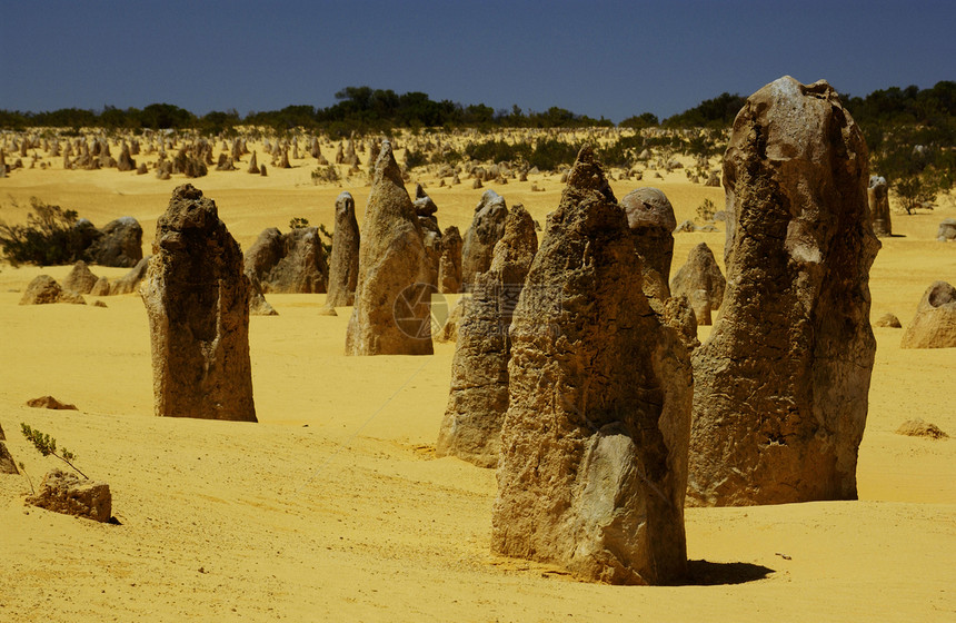 澳大利亚Pinnacles沙漠图片