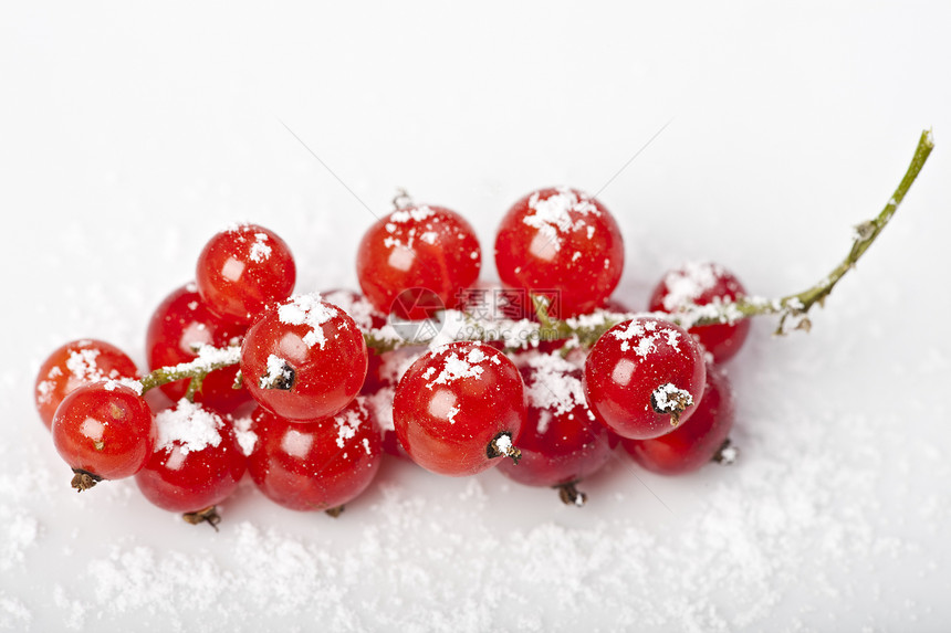 白色背景上的红色曲线食物水果宏观甜点浆果盘子图片