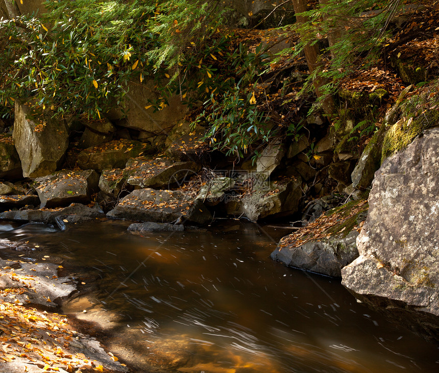 河中秋叶流动季节森林木头溪流环境林地公园石头岩石图片