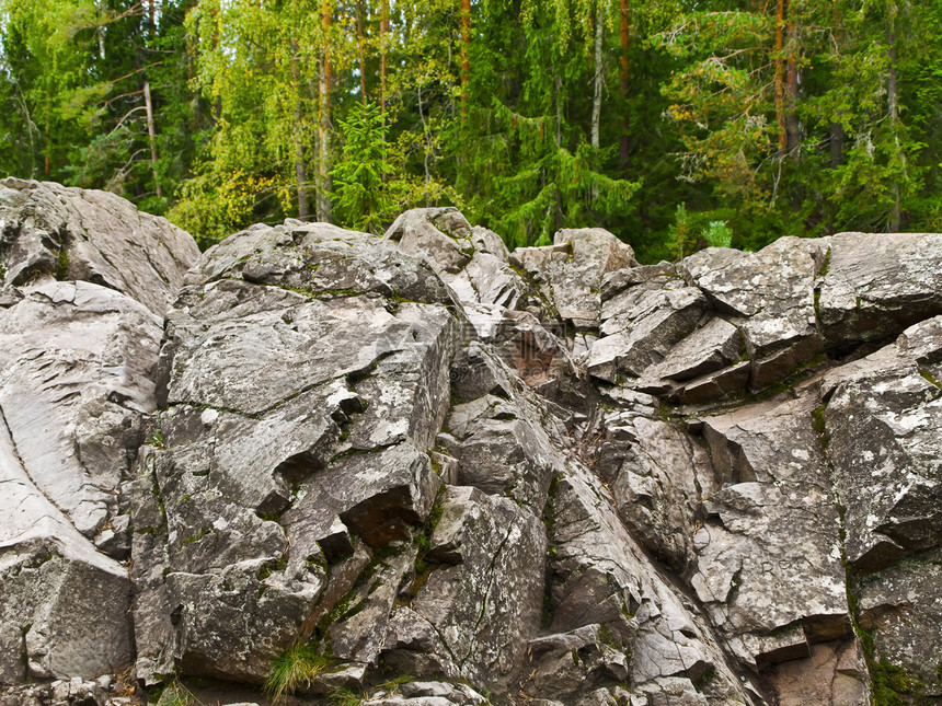 岩石采石松树风景绿色林地峡谷石头森林爬坡花岗岩图片