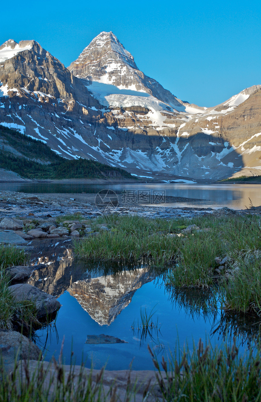 Assiniboine山 有反射的加拿大落基山脉冰川首脑高山公园图片