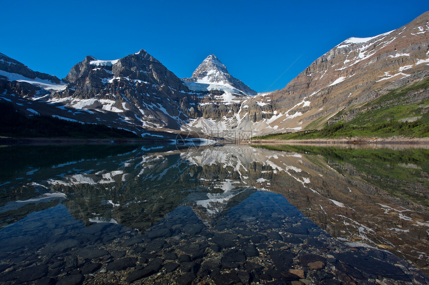 Assiniboine山 有反射的加拿大落基山脉冰川公园首脑高山图片