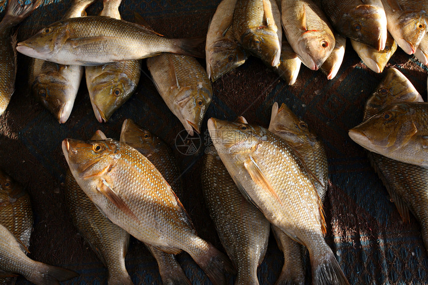 市场上的鱼食物海鲜尾巴图片