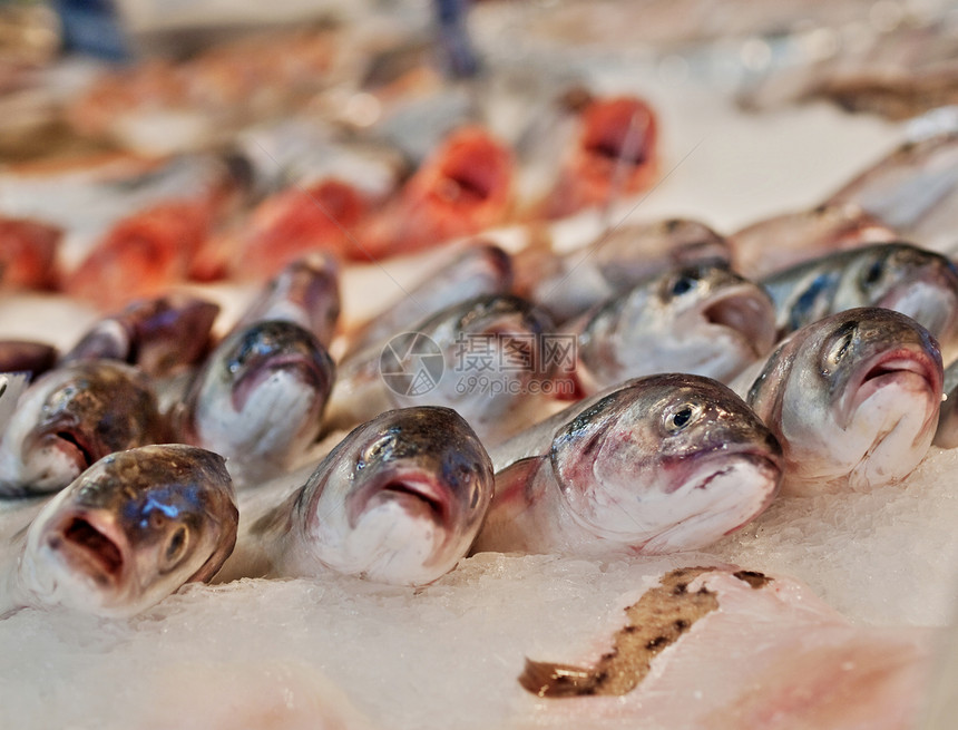 市场上出售的贝贝鱼海鲜食物钓鱼销售水产眼睛动物美食养殖低音图片
