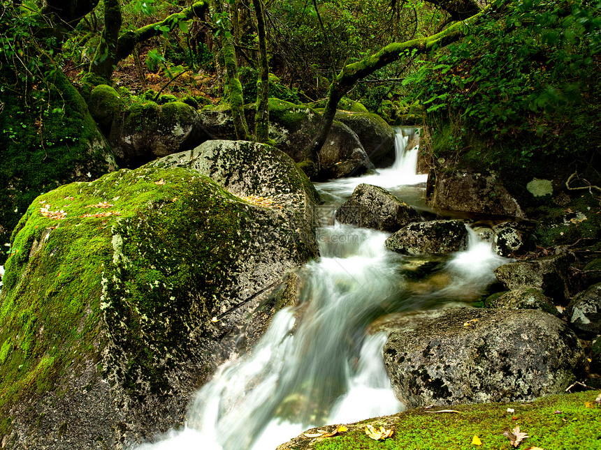 美丽的河流流动场景公园环境旅行植物群森林叶子风景岩石图片