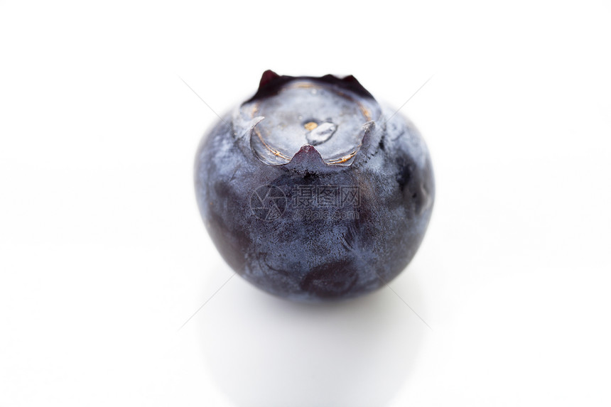 孤立的蓝莓食物白色营养水果浆果图片