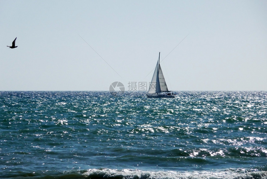 在布赖顿海岸的海上帆船海景海洋风帆运输海浪蓝色旅行天空地平线波浪图片