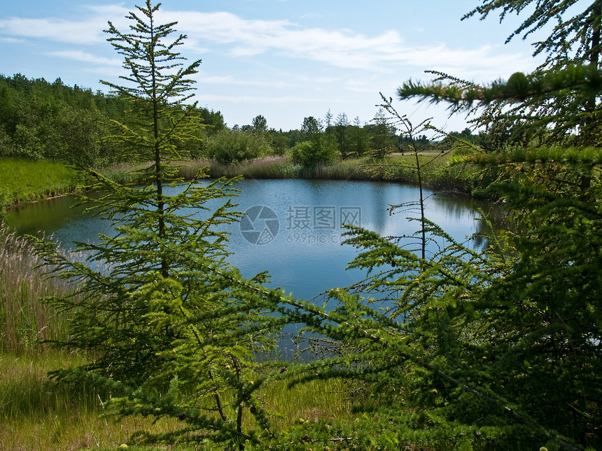 美丽的森林湖旅行城市反射蓝色环境森林土地风景天空场景图片