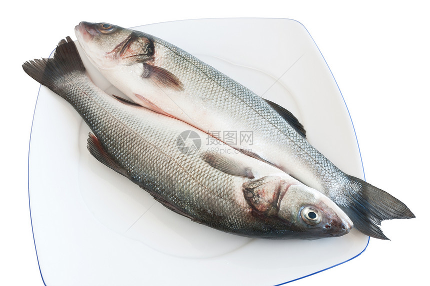 2个海低音美食盘子海鲜午餐动物食物餐厅白色饮食红色图片