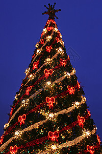 圣诞树街道民众细绳彩灯风景传统松树庆典季节圣诞背景图片