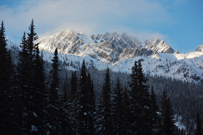 冬季山森林山峰树木荒野山脉云杉岩石山口首脑悬崖图片