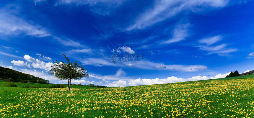 春色  绿地 蓝天空太阳全景土地农村植物环境场地天气草地花朵图片