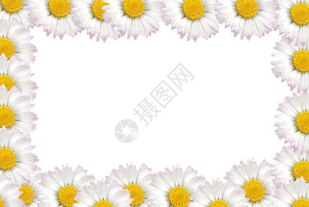 花框式边框花花边框雏菊框架黄色矩形白色背景