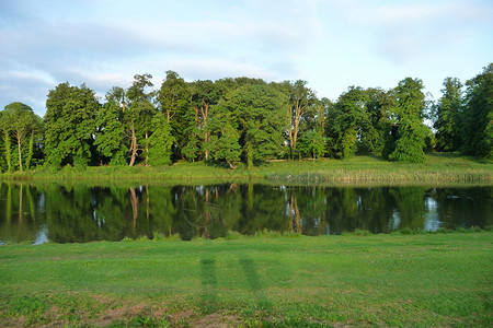 史凯迪亚利迪亚公园的树木之湖景森林天空植物生态草地季节液体生长公园环境背景