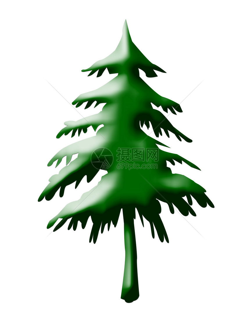 圣诞树插图绿色高山松树季节性白色绿色植物下雪图片