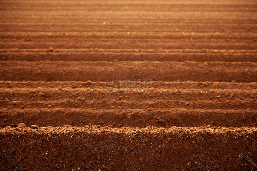 耕种的红粘土土壤农田场地食物地球植物农村农场土地地面季节种子图片