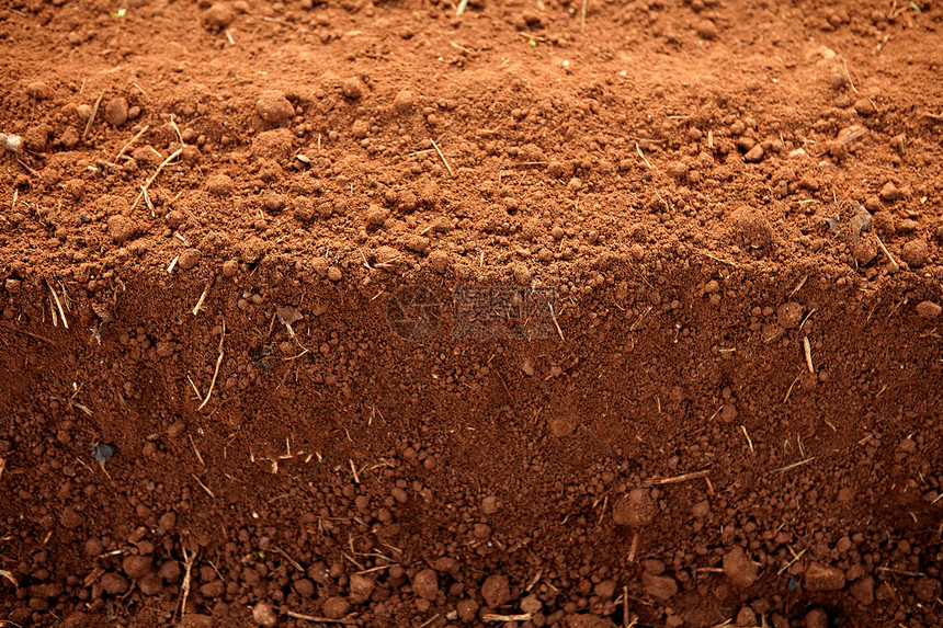 耕种的红粘土土壤农田环境场地季节栽培地球农村生长农场地面食物图片