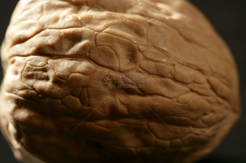 一颗胡桃 黑色背景的贝壳白色饮食核桃传统季节性种子棕色营养派对宏观图片