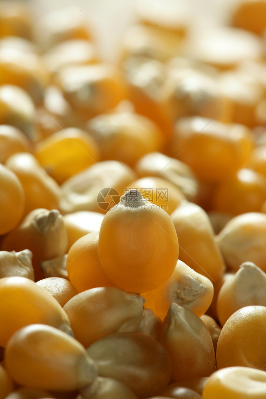 橙色干燥的大型玉米种子蔬菜团体杂货店粮食宏观金子营养烹饪厨房谷物图片