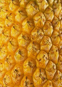 菠萝皮纹理肉质食物营养白色水果美味果皮背景图片