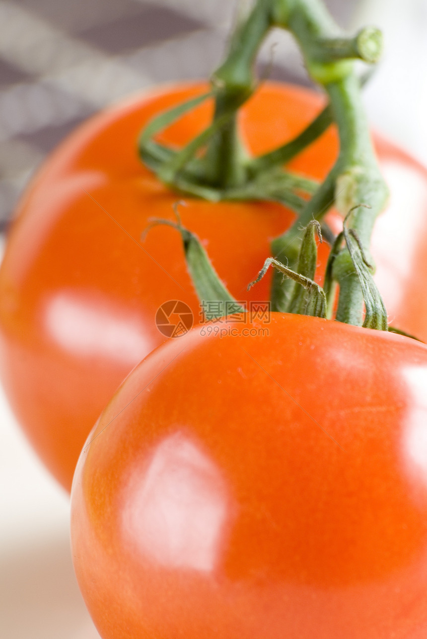 番茄蔬菜花园红色图片