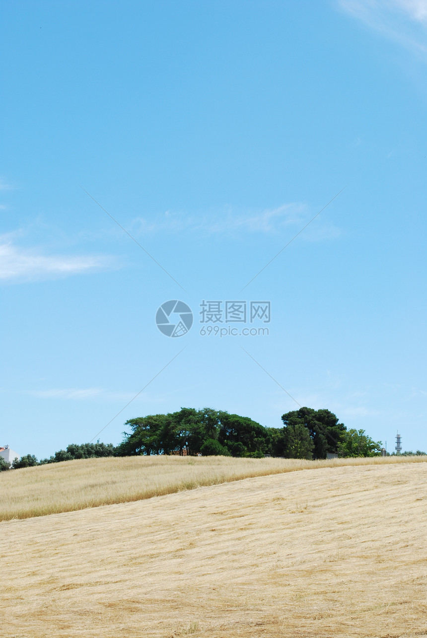 收获后小麦田面包种子生产粮食农民国家土地农村生长天空图片