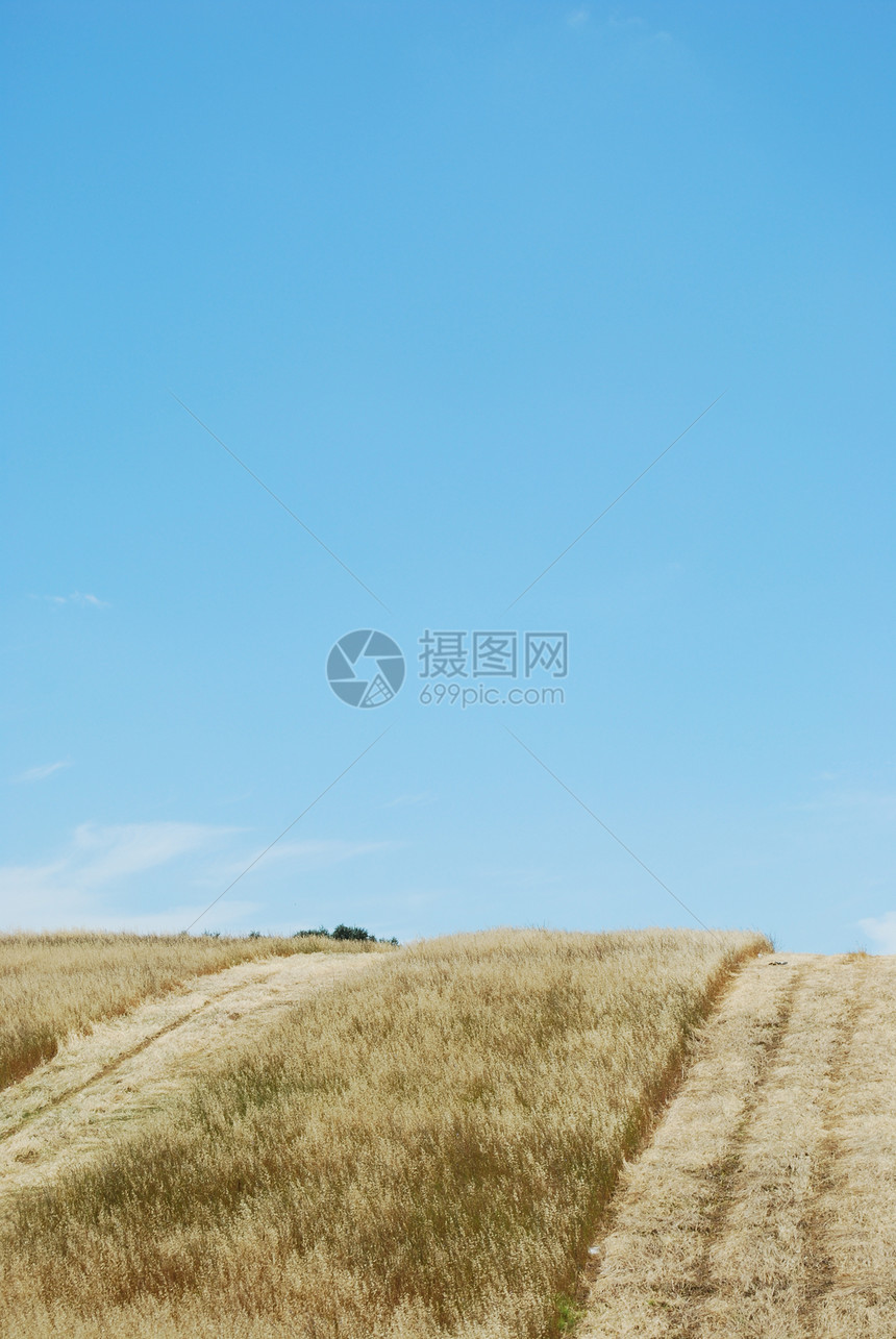 收获季节间小麦田天空粮食金子农场面包谷物农业种子土地国家图片