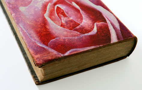玫瑰印在一本旧书的封面上滚动古董羊皮纸艺术植物教育乡村框架床单背景图片