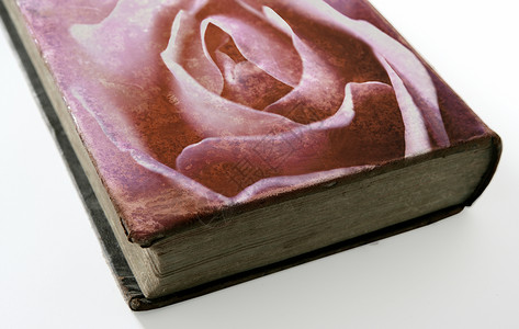 玫瑰印在一本旧书的封面上艺术古董教育床单乡村羊皮纸框架植物滚动背景图片