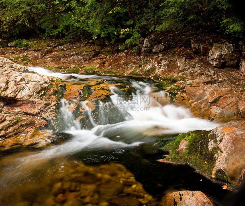 冲下河流的潮水环境岩石荒野季节苔藓森林场景溪流石头树木图片