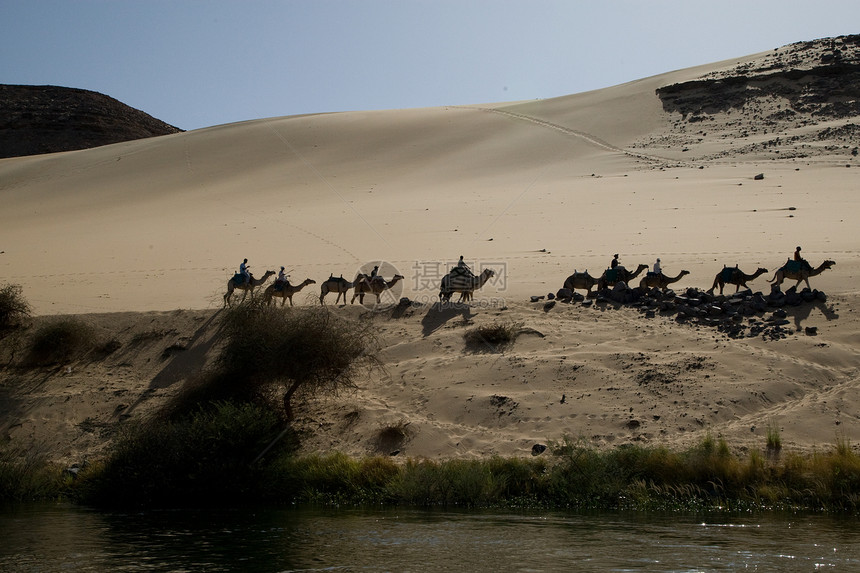 埃及阿斯旺附近尼罗河阳光假期航海风景沙漠冒险河岸石头旅行反射图片