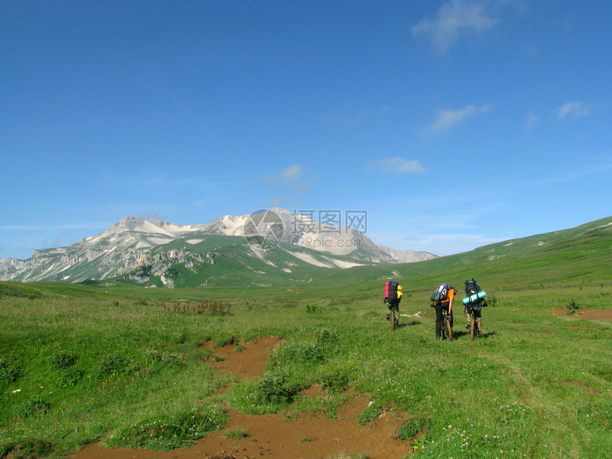 山山脉全景植物群路线旅行者植物山丘高原斜坡岩石植被图片