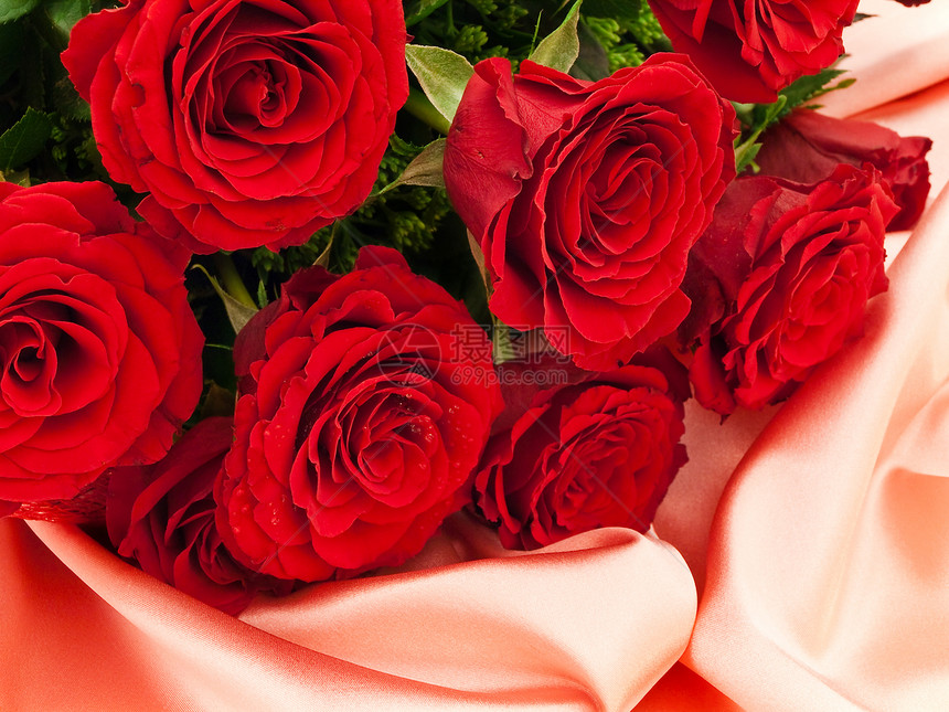 粉红色织物上的红玫瑰棉缎情绪材料纺织品海浪花瓣植物玫瑰风格香味图片