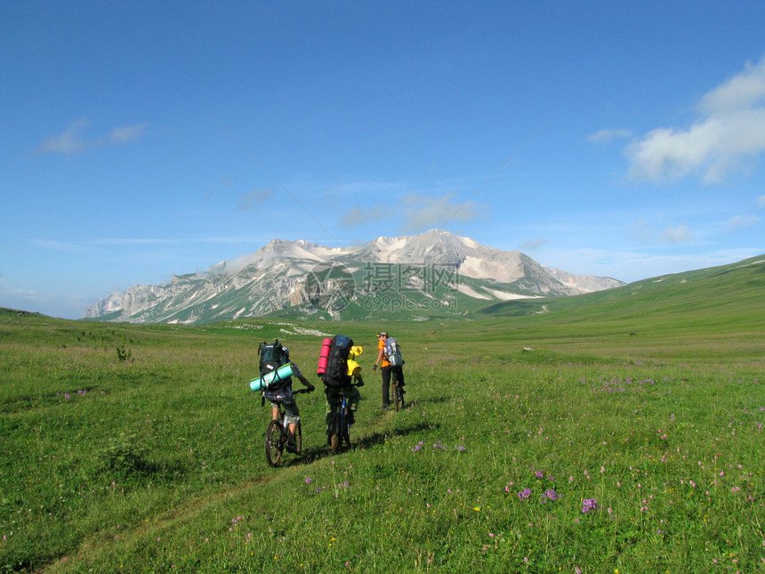 山山脉高原花朵青菜风景高山草甸岩石旅行者植物自行车图片