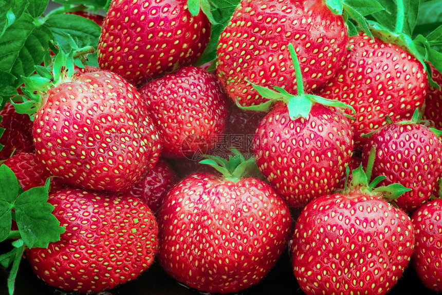 新鲜红草莓美食养分茶点甜点果味花园杂货店宏观叶子食物图片