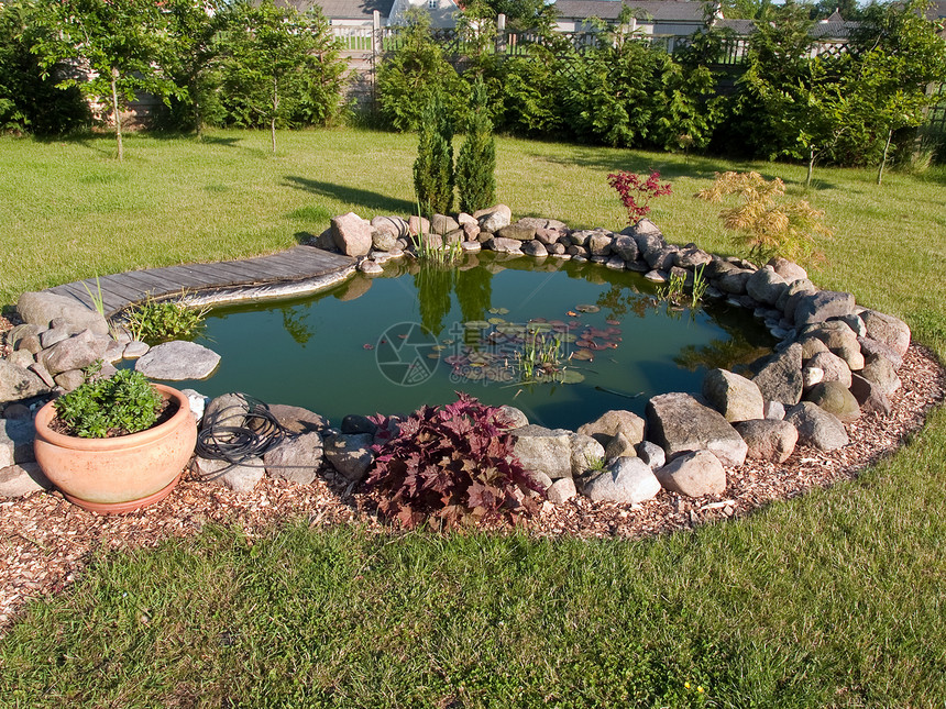 美丽的古典花园鱼池场景园艺植物百合睡莲池塘院子瀑布岩石喷泉图片