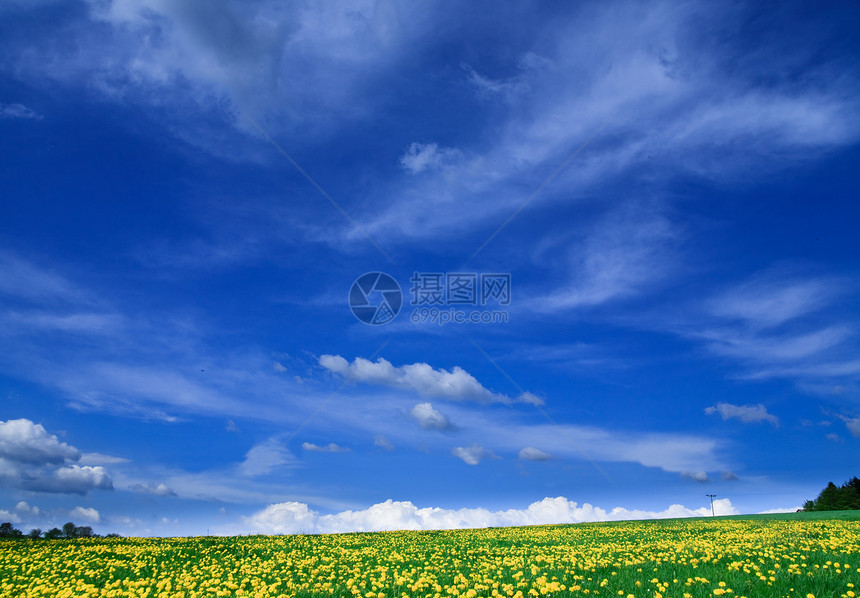春色  绿地 蓝天空场地国家远景牧场农村草地场景季节太阳天空图片