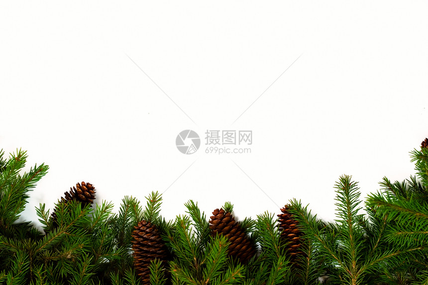 X质量框架植物火针花圈叶子针叶卡片枞树锥体树木绿色图片