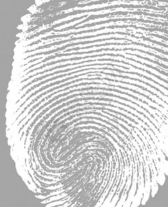 指纹签名探测生物墨水犯罪身份手指识别油漆警察背景图片