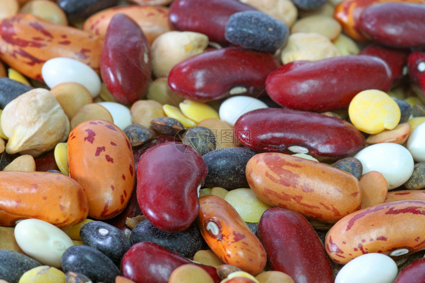 法律宏观多样性扁豆红色种子谷物绿色食物脱水烹饪图片
