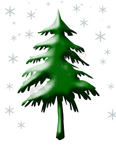 圣诞树和雪花高山下雪薄片季节性白色绿色植物插图松树绿色背景图片