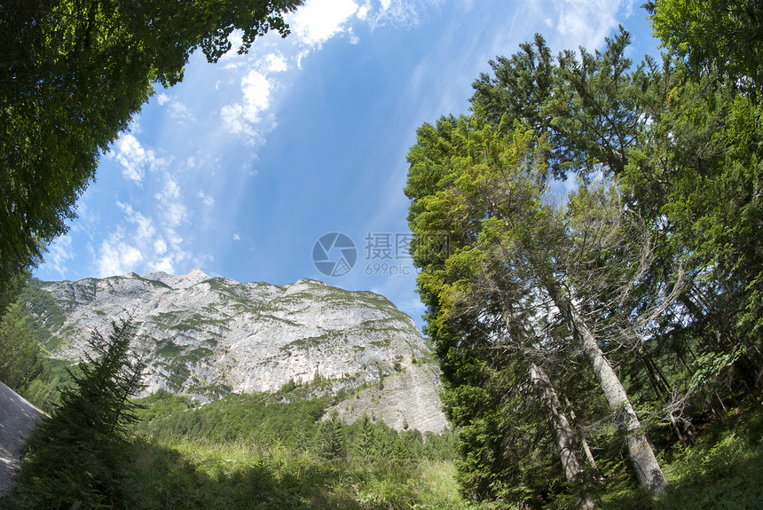 意大利多洛米斯森林树木日落山脉蓝色全景旅行天空环境花朵假期图片