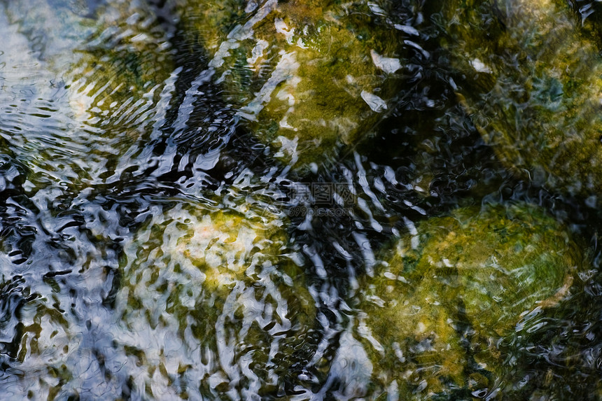 水下散瓶图片