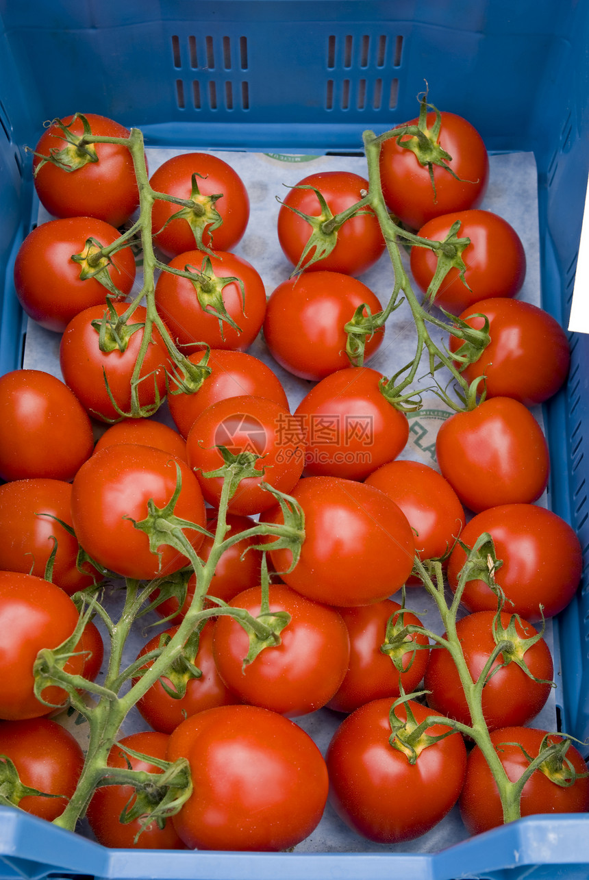 番茄市场盒子红色蔬菜篮子板条箱水果食物蓝色图片