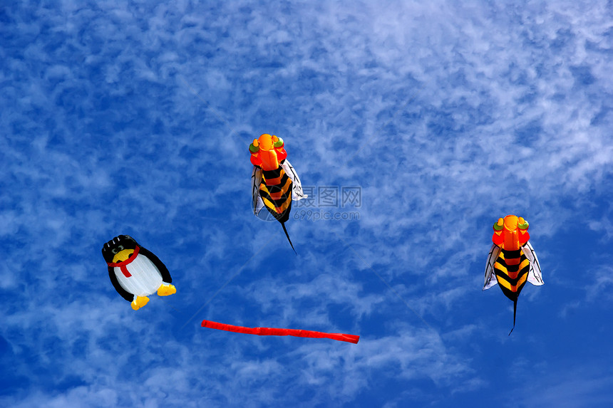 Kite - 蜜蜂和企鹅图片