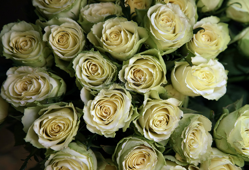 总括黄色感激绿色铭文玫瑰花朵新娘淋浴花束图片