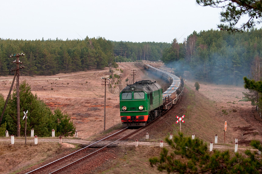 运输柴油列车货运树木力量环境风景机车抛光森林穿越铁路图片
