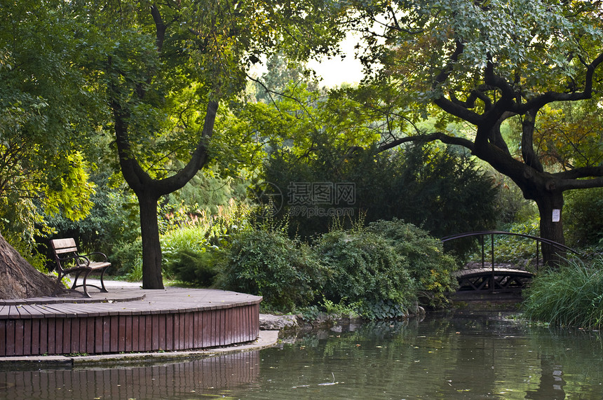 日本花园花园公园长椅池塘绿色图片