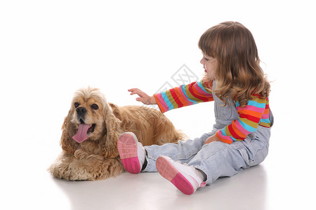 美丽的小女孩和小狗狗婴儿猎犬宠物孩子白色动物生活女孩童年背景图片
