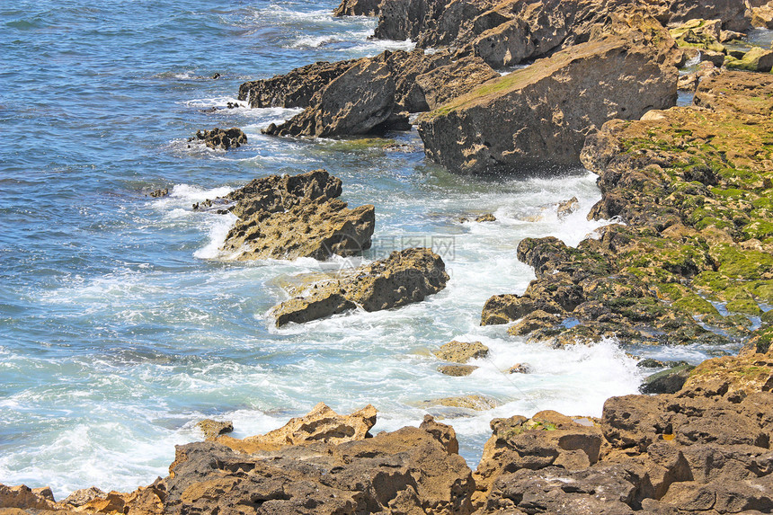 岩石海岸棕榈海景海浪蓝色旅游游客海洋热带游泳太阳图片